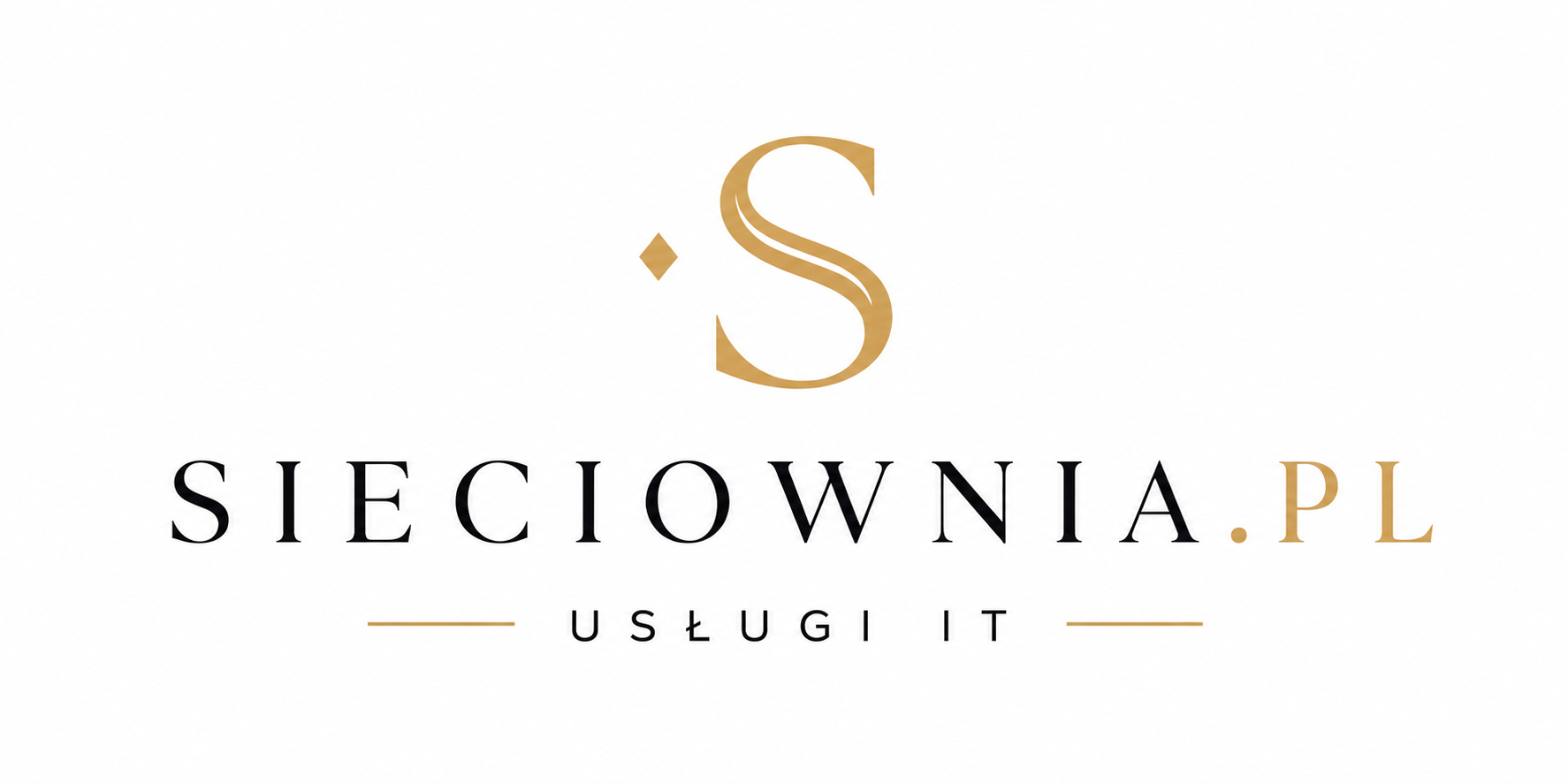 Logo Sieciownia na jasnym tle