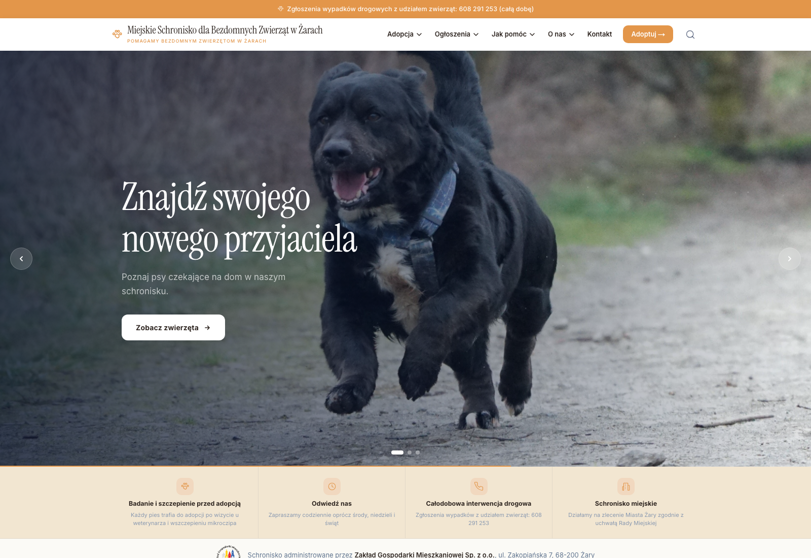 Schronisko w Żarach